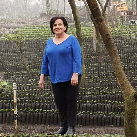 Finca La Bolsa El Cabro Plot pre-fermented washed - Huehuetenango